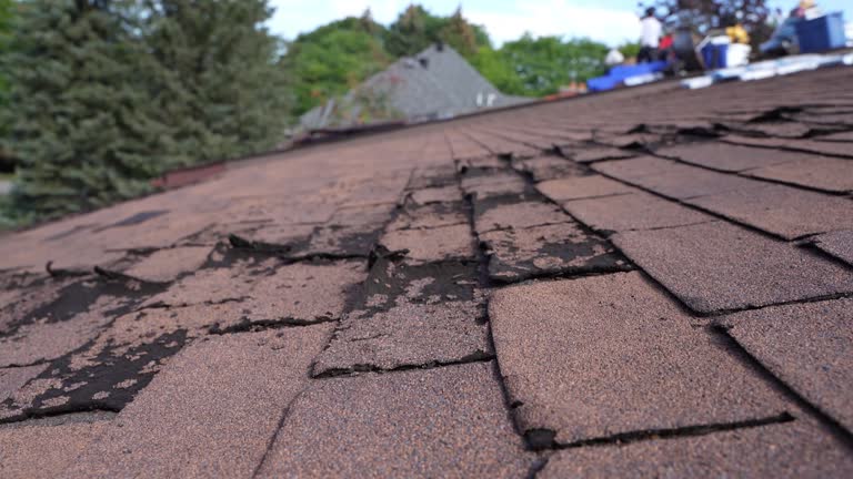 Best Skylight Installation and Repair  in Mount Olive, IL