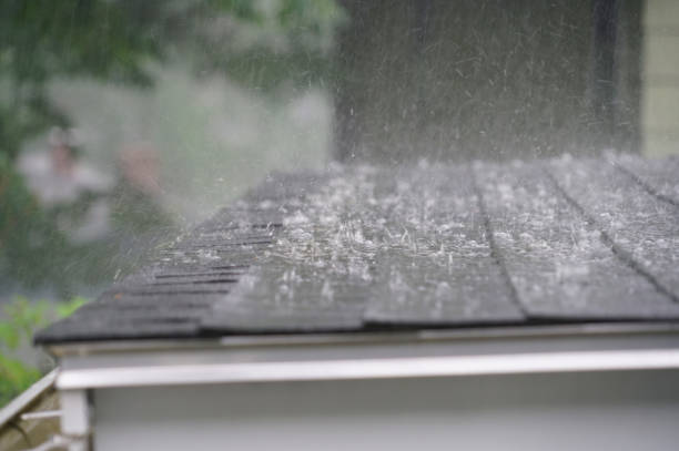Best Rubber Roofing (EPDM, TPO)  in Mount Olive, IL