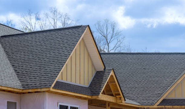 Best Roof Leak Repair  in Mount Olive, IL