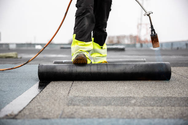 Best Roof Insulation Installation  in Mount Olive, IL