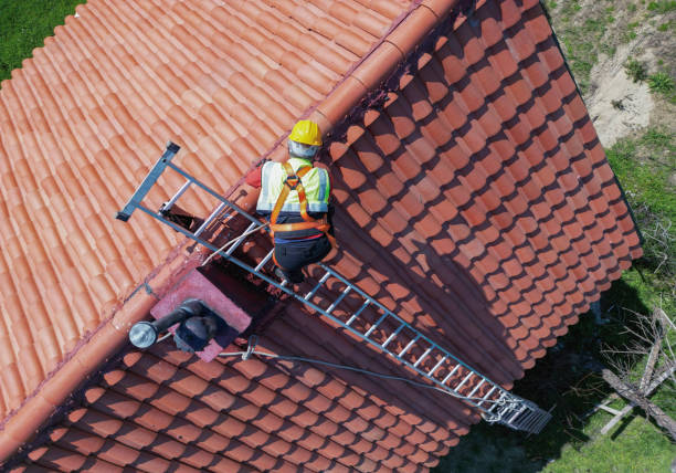 Best Storm Damage Roof Repair  in Mount Olive, IL