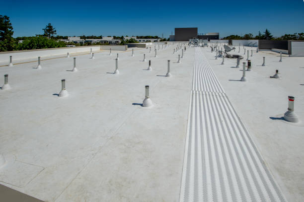 Best Roof Moss and Algae Removal  in Mount Olive, IL